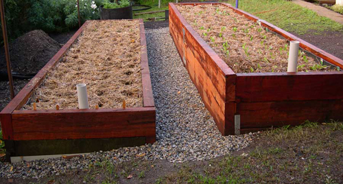 wicking bed9